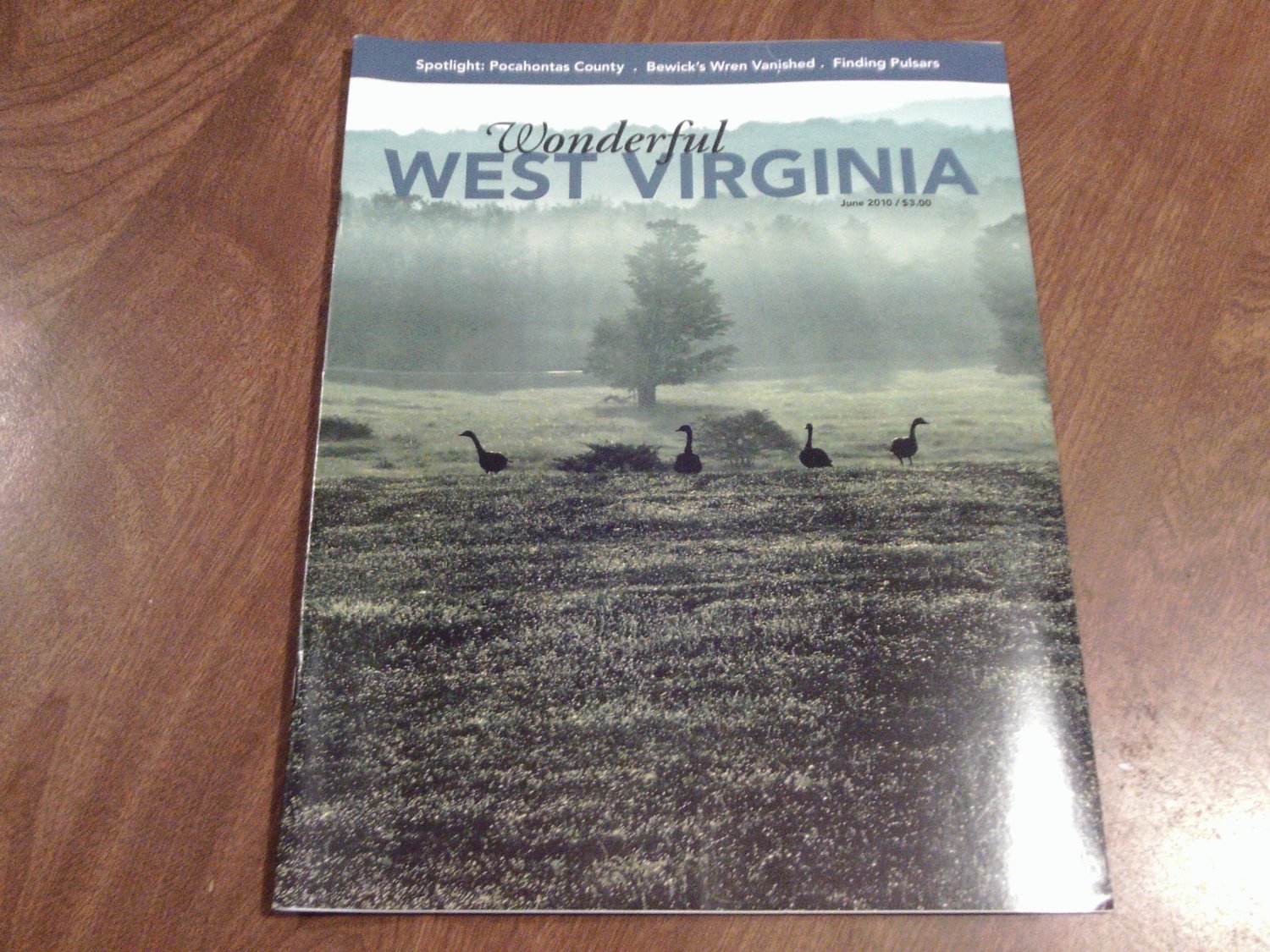 Wonderful West Virginia June 2010 Vol 74 No. 6 Pocahontas County, Bewick's Wren, Pulsar Search (C7)