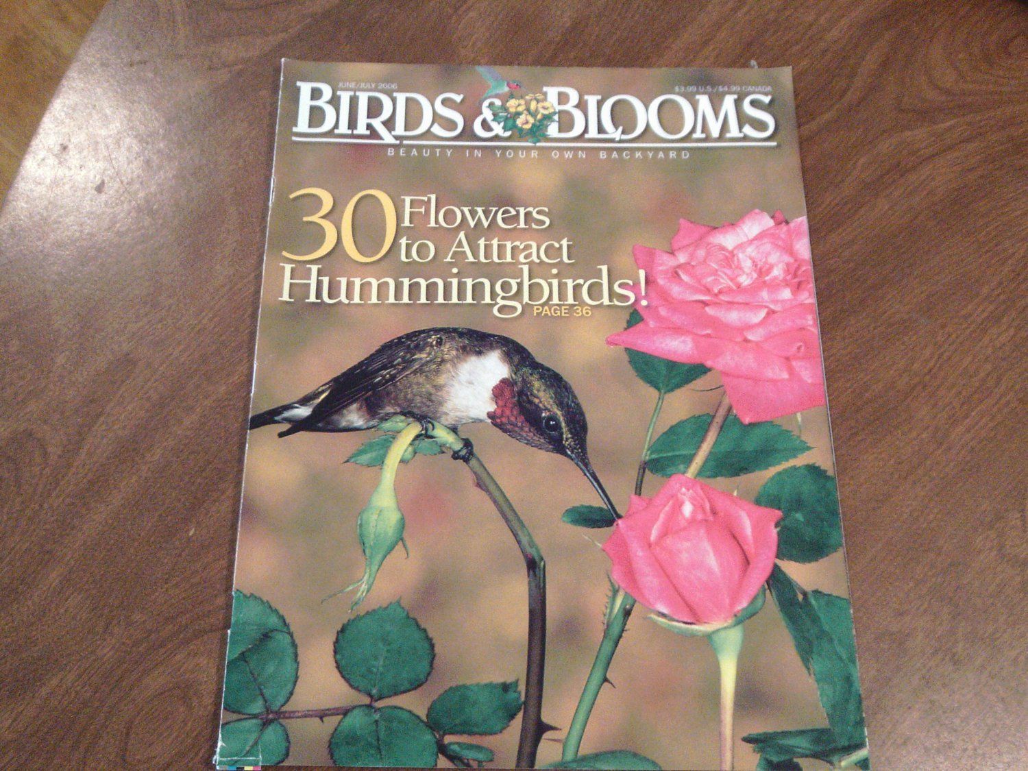 Birds & Blooms Magazine - Beauty in Your Own Backyard June/July 2006