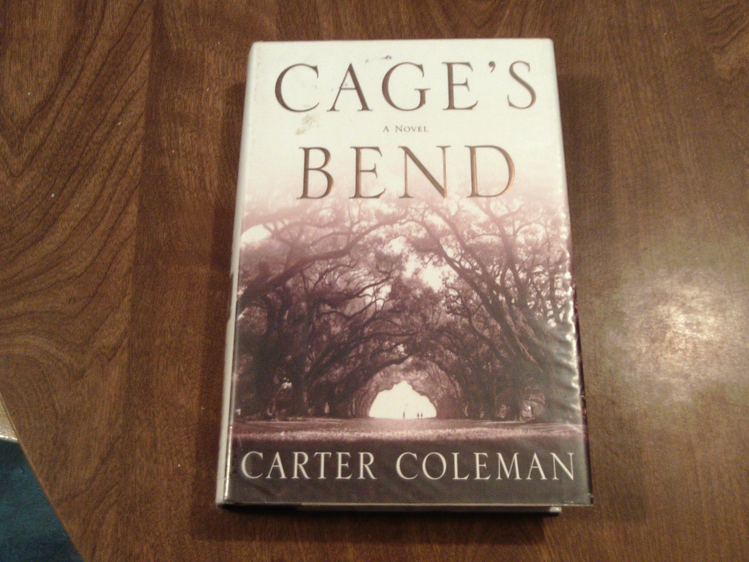 Cage's Bend by Carter Coleman (2005) (G6AZ) Psychological Fiction, Domestic Fiction