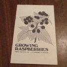 Growing Raspberries Farmer's Bulletin No. 2165 (1971) (GR2r1) US Department of Agriculture