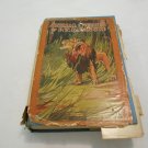Animal Stories by P. T. Barnum Saalfield Publishing Company (1926) (R32b4) Saalfield Publishing HC