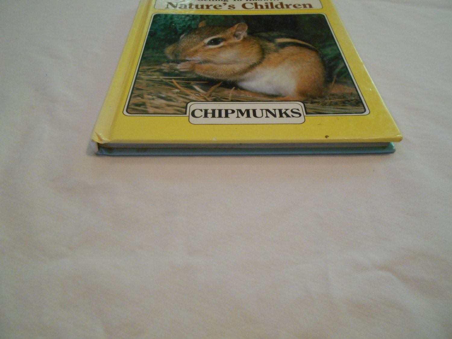 Getting to Know : CHIPMUNKS Merebeth Switzer BEAVERS by Elin Kelsey 2 ...