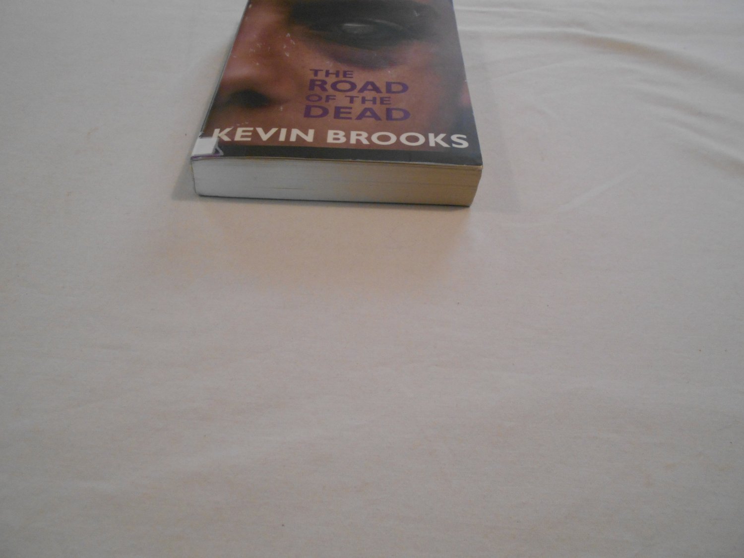 kevin brooks the road of the dead