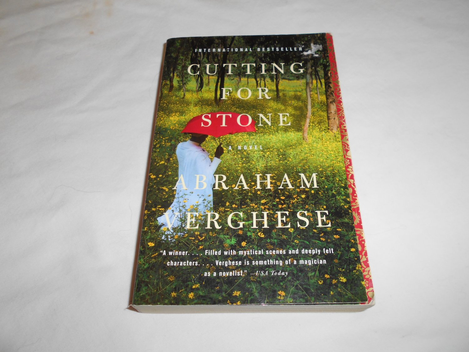 Cutting for Stone by Abraham Verghese (2009) (B26) family saga of