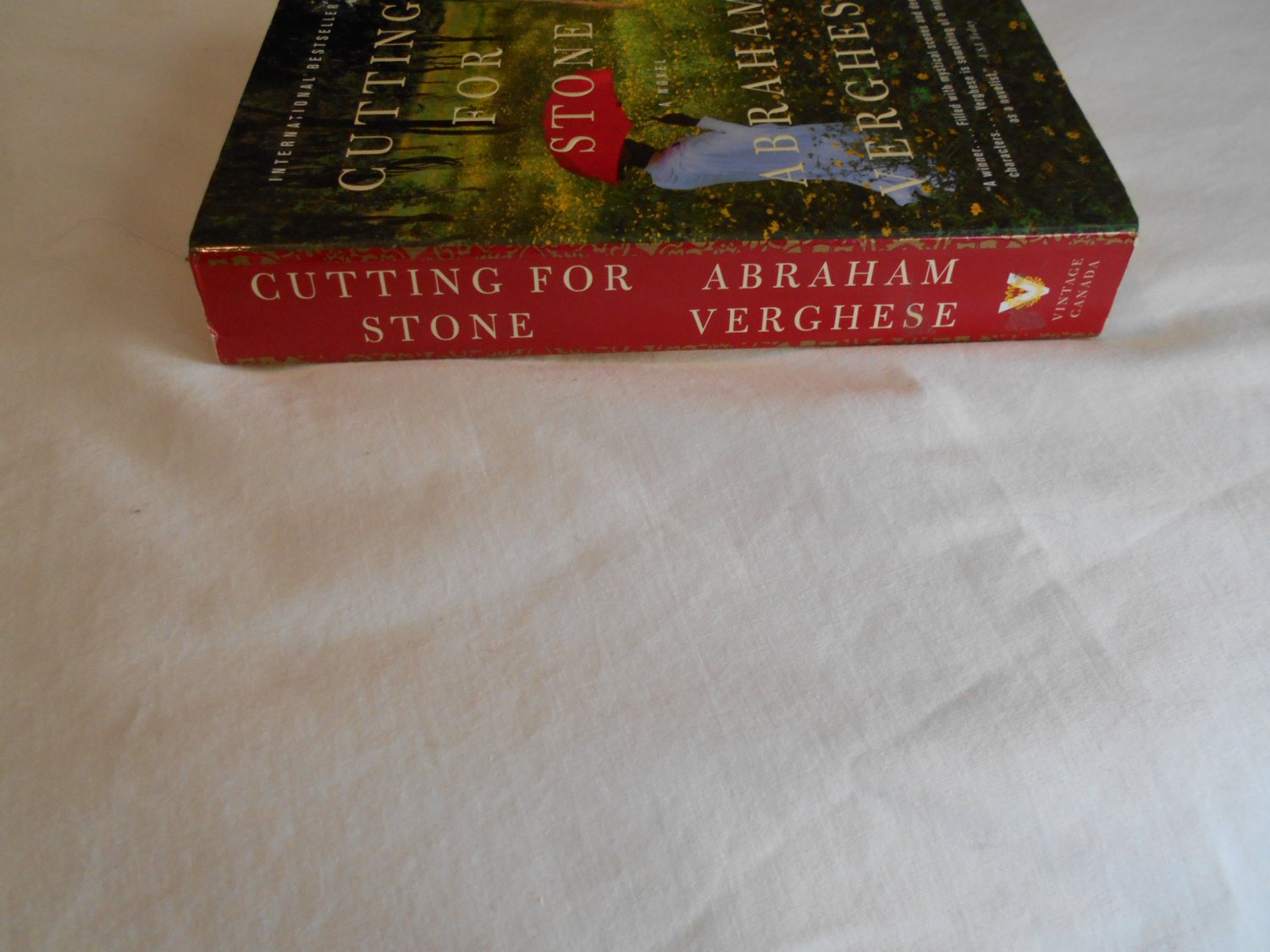 Cutting for Stone by Abraham Verghese (2009) (B26) family saga of
