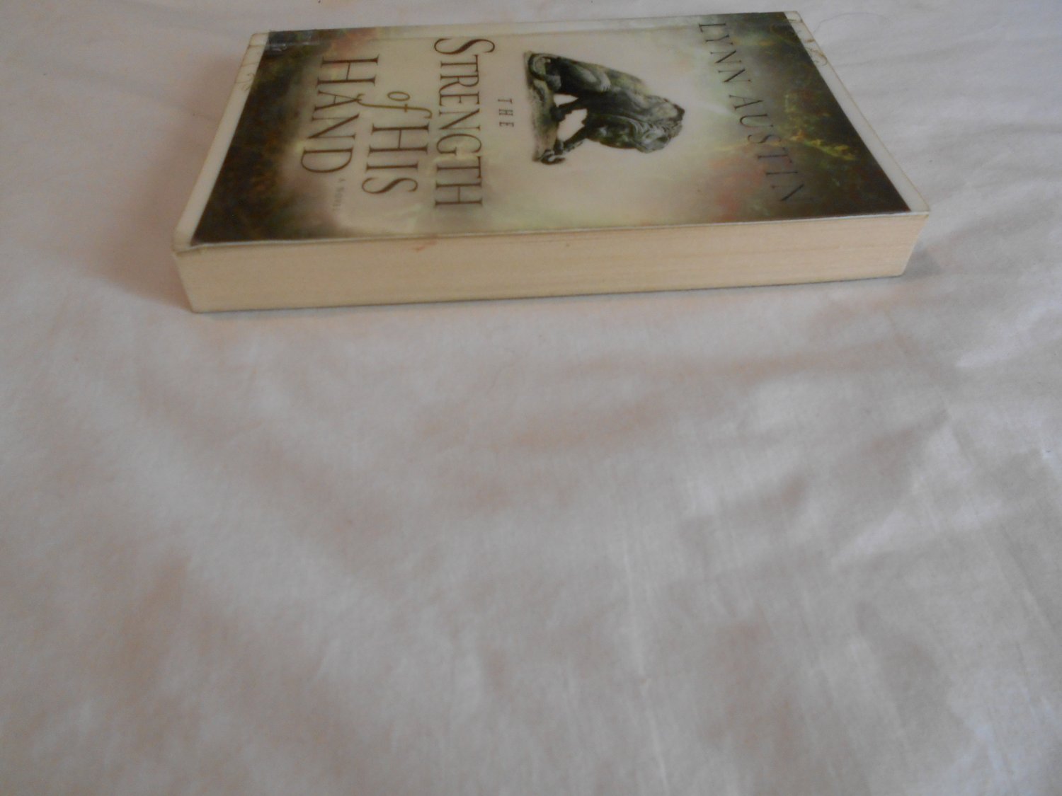 The Strength of His Hand by Lynn Austin (2005) (B26) Chronicles of the Kings 3