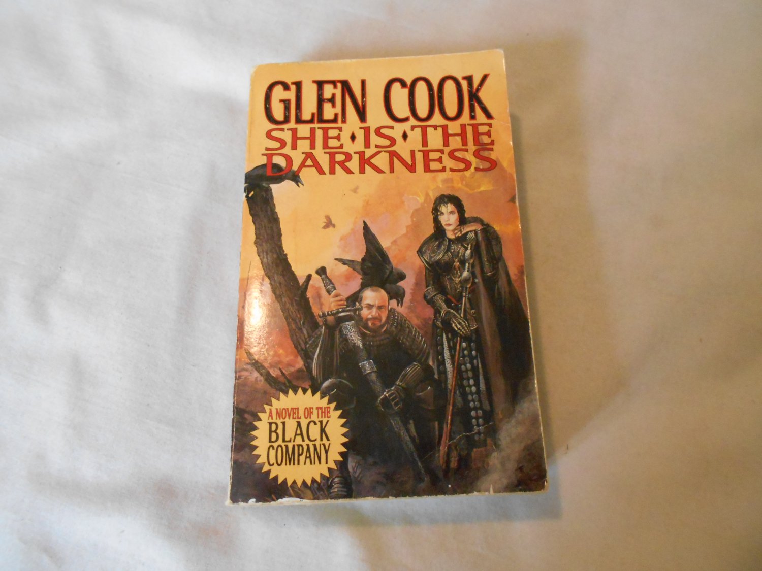 She is the Darkness by Glen Cook (1998) (140) The Chronicles of the Black Company #7