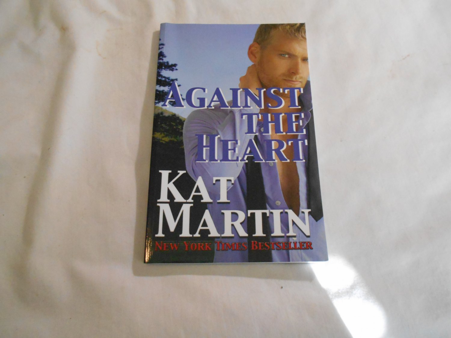 Against The Heart by Kat Martin 2013 172 The Brodies of Alaska