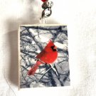 Cardinal on Square Tile with Lots of assorted Beads on Necklace White, Gray Red 30" (BD1) Cardinal on Square Tile with Lots of assorted Beads on Necklace White, Gray Red 30" (BD1)