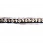 Plus Size Studded Tulle Chocker with Lace (BD1)