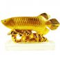 Arrowana-Dragon Fish. Powerful energizer of Abundance & Wealth