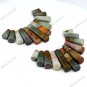 SUCCOR CREEK JASPER GROUPWARE PENDANT BEADS SET 11PCS