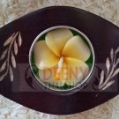 Set money china pot wood put candle wood by handmade