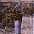 Woolflower Switchplate