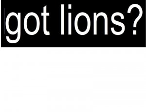 got lions sticker vinyl