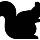 squiril vinyl decal sticker