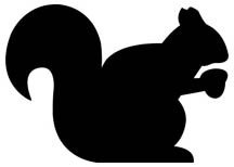 squiril vinyl decal sticker