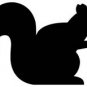 squiril vinyl decal sticker