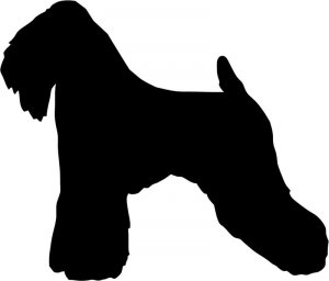 SHAGGY DOG STICKER DECAL