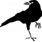 CROW STICKER