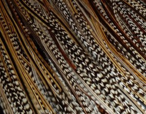 4 All Natural LONG Feather Hair Extensions: Cherokee Collection FREE Micro Links and Threading Tool