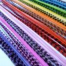 100 LONG Feather Hair Extensions Natural All Real Kit 8-12" FREE SHIPPING