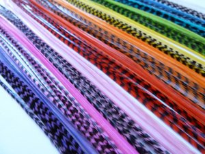 100 LONG Feather Hair Extensions Natural All Real Kit 8-12" FREE SHIPPING