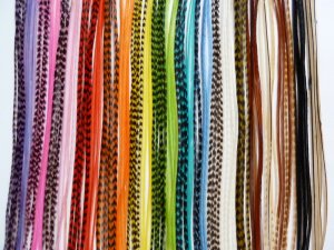 4 XL All Natural Feather Hair Extensions (U Pick Colors) Free micro links and threading tool