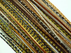 All Natural Long Feather Hair Extension 4 Pack FREE tool FREE links