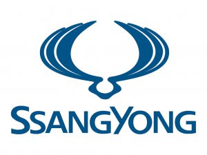 CD Ssangyong Kyron Service and Repair Workshop Manual FREE SHIPPING