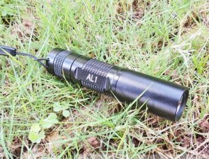 Wholesale AA Battery Ultrabright CREE Q5 Flashlight