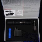 Wholesale free shipping brand new Extended edition light flashlight 2pcs