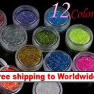 12 x Glitter Lace Powder for Nail Art + Free shipping!