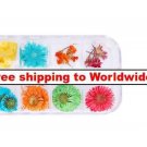 12 Styles Real Dried Flower Nail Art Decoration tm10002590 + Free shipping to worldwide!