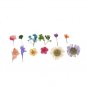 12 Styles Real Dried Flower Nail Art Decoration tm10002581 + Free shipping to worldwide! Features
