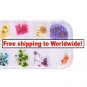 12 Styles Real Dried Flower Nail Art Decoration tm10002581 + Free shipping to worldwide! Features