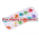 12 Styles  Real Dried Flower Nail Art Decoration tm10002602   + Free shipping to worldwide!