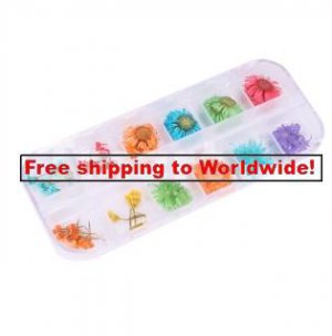 12 Styles  Real Dried Flower Nail Art Decoration tm10002602   + Free shipping to worldwide!