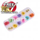 12 Styles Real Dried Flower Nail Art Decoration tm10002604  + Free shipping to worldwide!