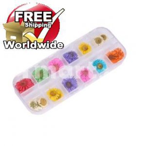 12 Styles Real Dried Flower Nail Art Decoration tm10002604  + Free shipping to worldwide!