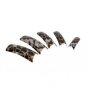 100pcs Fashion Pattern False Nail tmH01305 + Free shipping to worldwide!