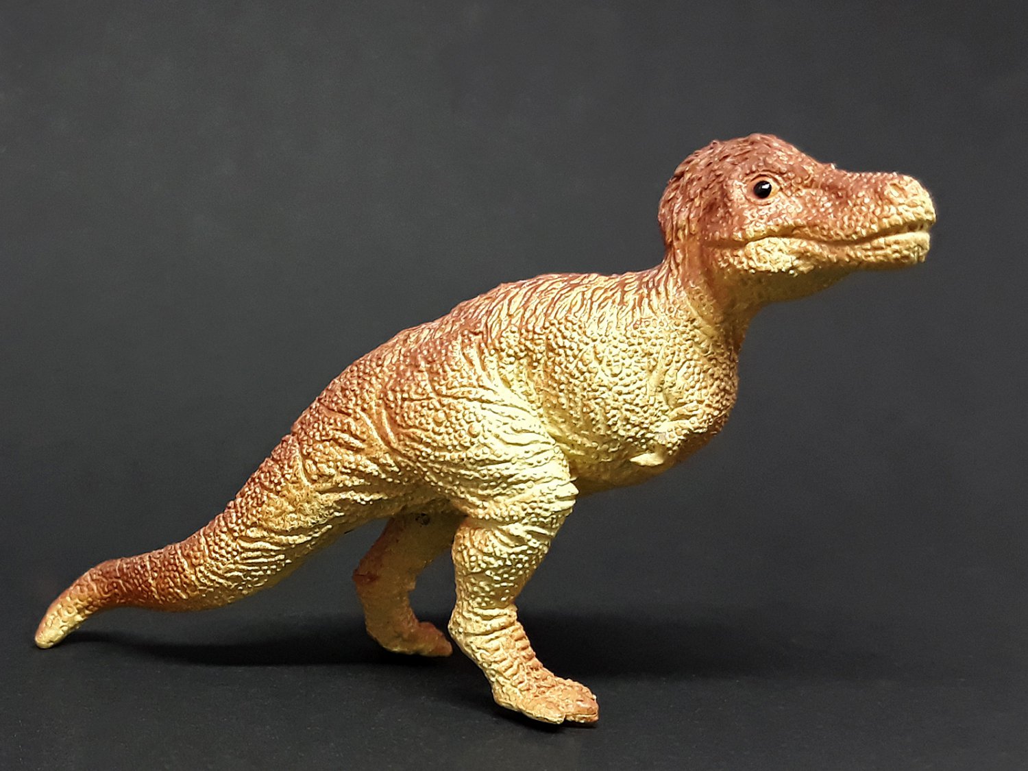 pnso andrea the tyrannosaurus rex