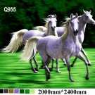 White Horses, Q955
