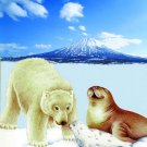 Polar Bear, Q961