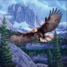 Flying Eagle, Q930