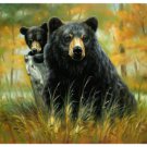 Black Bears, Q980