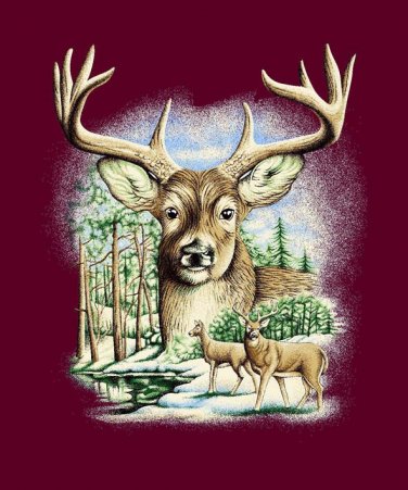 Q024 Deer  Head