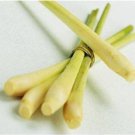 Lemongrass Essential Oil, 1 oz