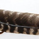 Smudging Feather