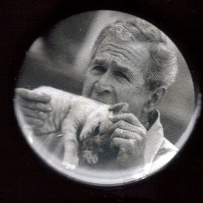George W. Bush Eating A Kitten pinback button badge 1.25"